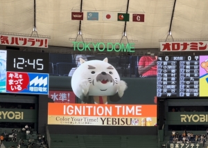 東京ドームで開催された巨人vs楽天戦において「FXなびデー」として協賛させていただきました